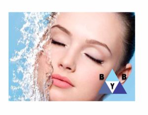 diseño bybfarma1