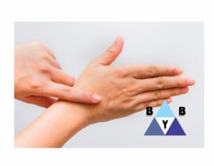 diseño bybfarma3